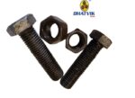 Hex Bolt + Nut | M16 x 2 x 60 | HT Grade 8.8 | Self | Wt.10 p/c ~1.360 Kg